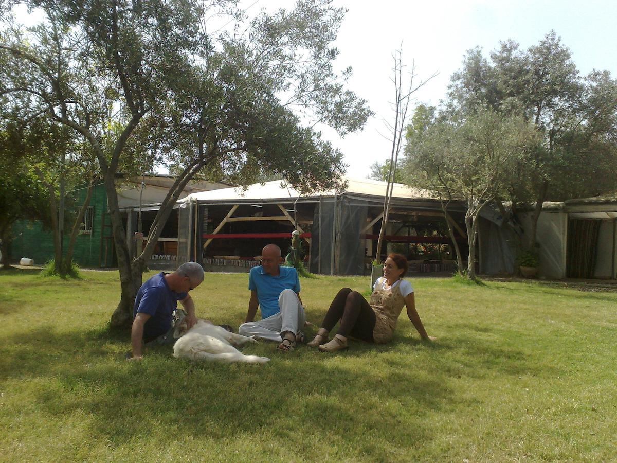 Peace Tent Villa Kfar Rut Room photo