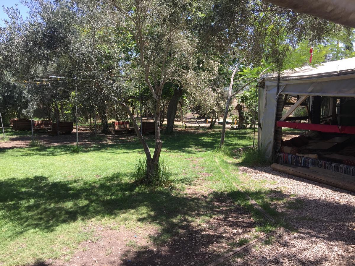 Peace Tent Villa Kfar Rut Exterior photo