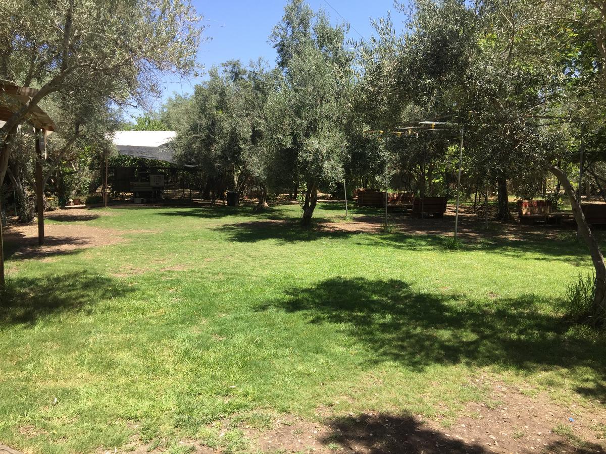 Peace Tent Villa Kfar Rut Exterior photo